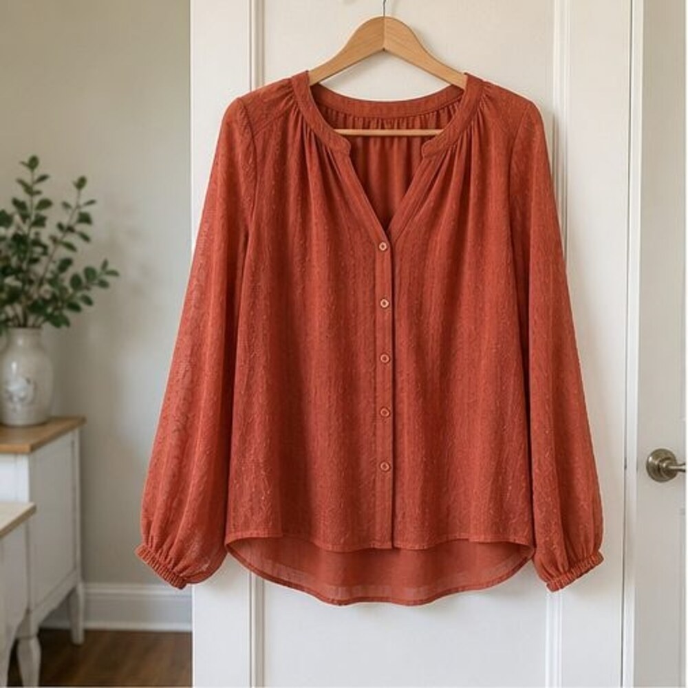 Rust Pleated Blouse